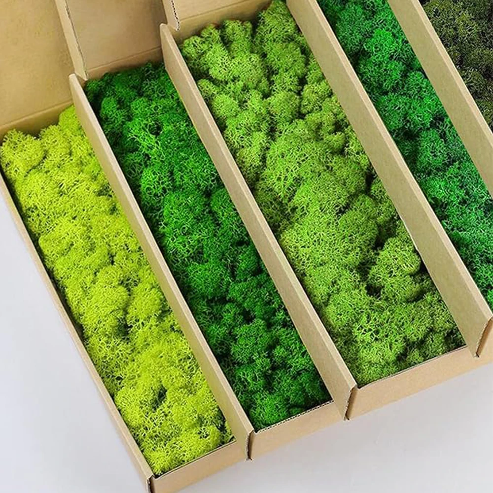 Sphagnum Moss Dry - 20-200g Yapay Yeşil Bitkiler Sahte Çim