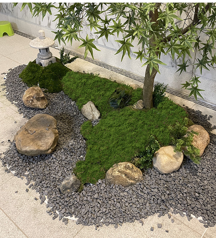 Yapay yosun filamentleri yosun - Sphagnum Moss Dry incelemesi ve fiyatı