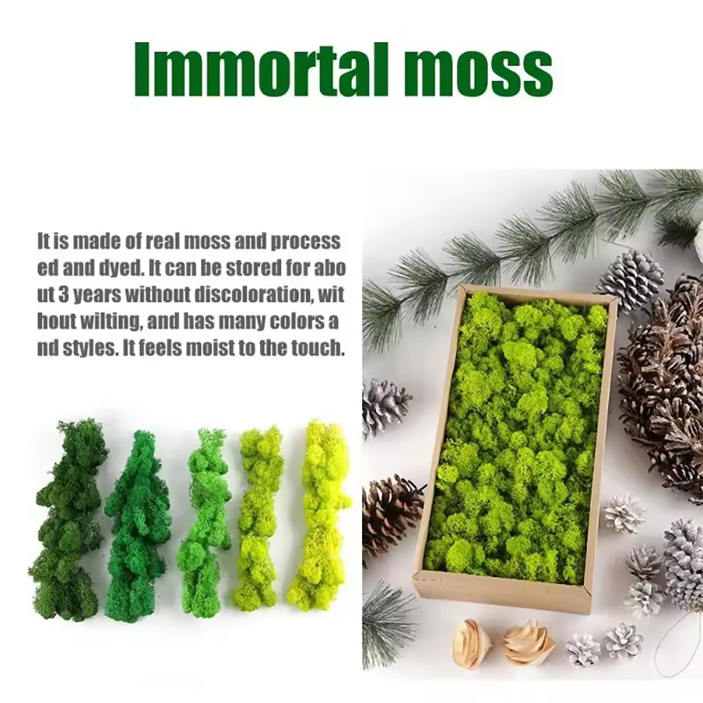 200/500g Ebedi Yaşam Sahte Yos - Sphagnum Moss Dry incelemesi ve fiyatı